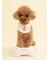 【CAT&DOG】【Birthday】ボーントイ
