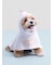 【CAT&DOG】【Birthday】スムーズィーケープ