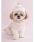 【CAT&DOG】【Birthday】カップケーキハット