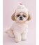 【CAT&DOG】【Birthday】カップケーキハット