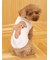 【CAT&DOG】スムーズィートイプードル柄ジャガードプルオーバー