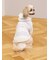 【CAT&DOG】スムーズィーXLサイズ２ボーダーフーディー