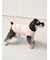 【CAT&DOG】ベビモコXLサイズネッププルオーバー