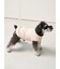 【CAT&DOG】ベビモコXLサイズネッププルオーバー