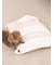 【CAT&DOG】ベビモコおふとんセットL