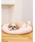 【CAT&DOG】ベビモコベッドL