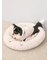 【CAT&DOG】ベビモコベッドM