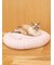 【CAT&DOG】ベビモコベッドM