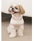 【CAT&DOG】スムーズィー２ボーダーフーディー