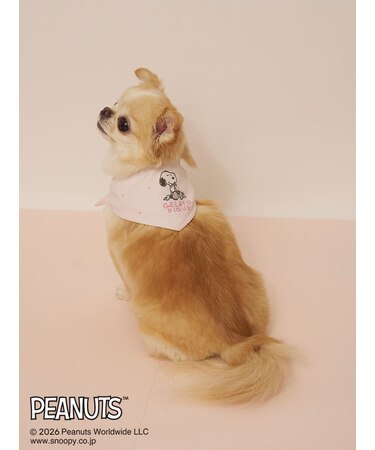 【PEANUTS】【CAT&DOG】保冷剤入れバンダナ