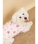 【CAT&DOG】ラージサイズ中綿ベスト