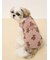 【CAT&DOG】ベア柄カットソープルオーバー