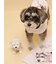 【CAT&DOG】マフラーDOGモチーフトイ