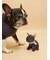 【CAT&DOG】マフラーDOGモチーフトイ