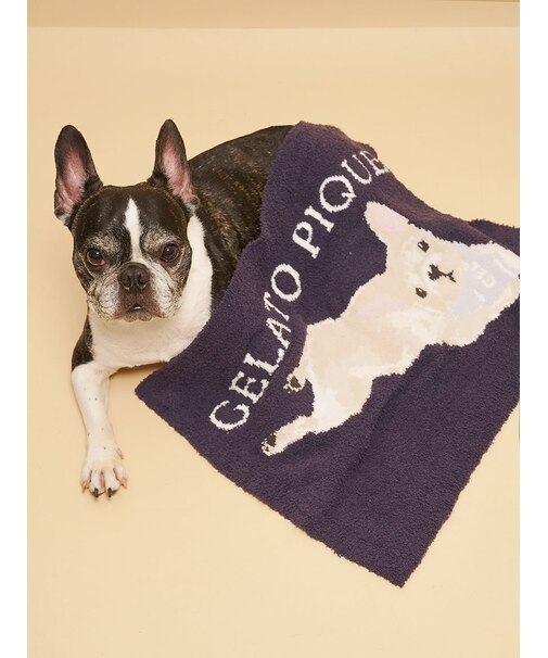 【CAT&DOG】ベビモコフレンチブルドッグ柄ブランケット