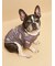 【CAT&DOG】フレンチブルドッグ柄カットソープルオーバー