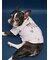 【CAT&DOG】フレンチブルドッグ柄カットソープルオーバー