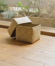 『WEB限定』サイアム カチュー水草ふた付き四角BOX S