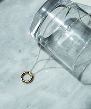 SMELLY so’ plate ring necklace