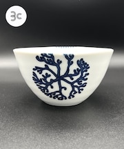 寿芳窯 フリーボウル大