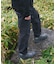 HIKE PANTS