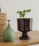 ブラウン