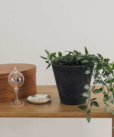 amabro ART STONE SS BK