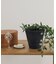 amabro　ART STONE SS BK