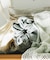 スウェットシュシュ