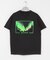 Cotton Expressions　AURORA T-SHIRTS