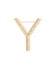 Y