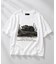 アソートアニマル柄ビッグTシャツ