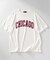 カレッジロゴグラフィックTシャツ