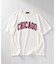 カレッジロゴグラフィックTシャツ