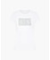 WHITE GROUND + SILVE