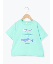 【吸水速乾】サメプリントTシャツ