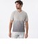 【PRIMA COLLECTION】Vネックショートスリーブグラデーションニット