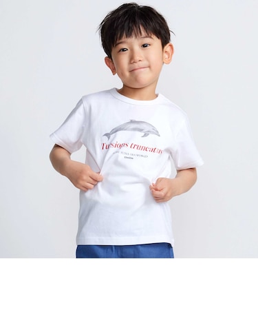【 速乾 】【神戸須磨シーワールド×BeBe】シャチ・イルカ 図鑑風半袖Tシャツ(80~140cm)