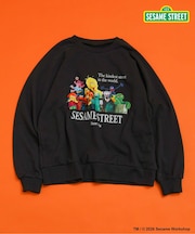 【リンク】SESAME STREET フォトアートトレーナー（大人）