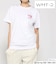 WHT-2
