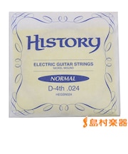 HEGSN024 エレキギター弦 D-4th .024 【バラ弦1本】