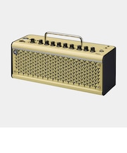 THR10II Wireless ギターアンプ ワイヤレスレシーバー内蔵 ベース・エレアコ対応