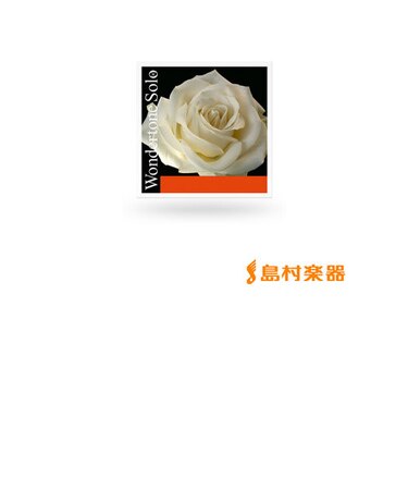 310321 WONDERTONE SOLO バイオリン弦 ワンダートーンソロ E線 4/4用 シルバリースチール弦 ボールエンド ゲージ26 バラ弦1本