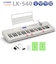 LK-540 WE ホワイト