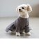 【DOG】チュールスカートドッキングワンピ