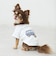 【リンク】【DOG】乗り物アップリケTシャツ