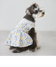 【リンク】【DOG】花柄ドッキングワンピ