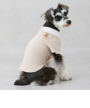 【DOG】【接触冷感】ポロ衿配色Tシャツ
