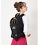 GREGORY/18L ファインデイ V2 JPS 1464931041 アウトドア 通勤 通学 グレゴリー デイパック バックパック リュック ユニセックス ムラサキスポーツ