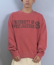 DEARLAUREL× JACKSON MATISSE /DL25F-JM1102 ジャクソンマティス トレーナー スウェット カレッジロゴ 裏毛 クルーネック ディアローレル メンズ ムラサキスポーツ
